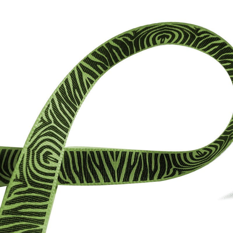 Printed Satin Ribbon Lime 3