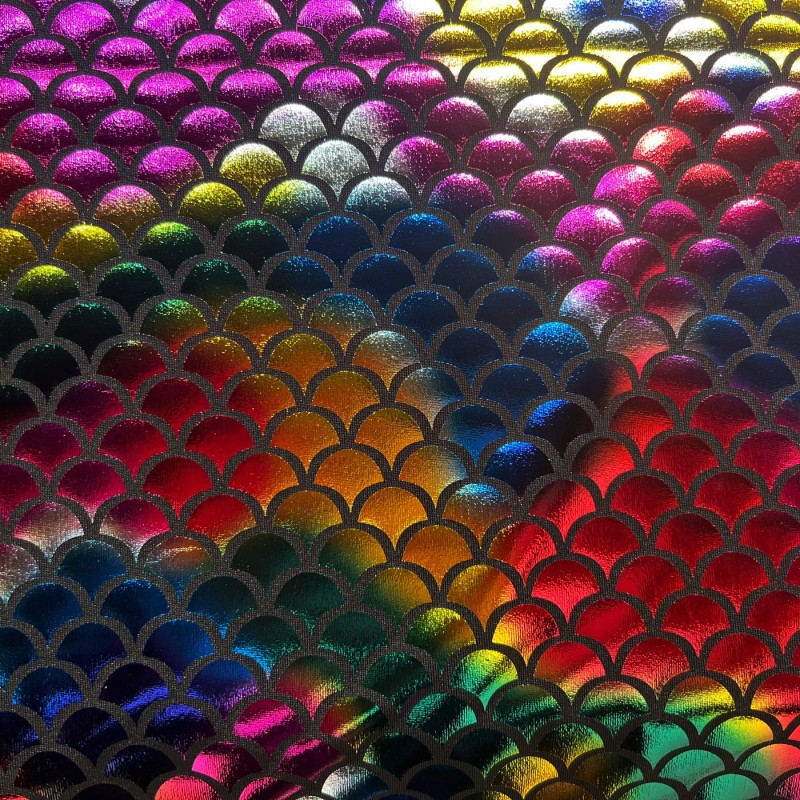 Rainbow Fishscale Foil Small 2