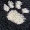 Black Ground with White Paws8222